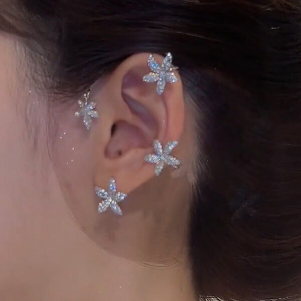 Super Fairy High Sense Of Integrated Ear Hanging Accessories 3