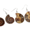 Natural Snail Ammonite Spiral Shell Fossil Earrings Earrings 11
