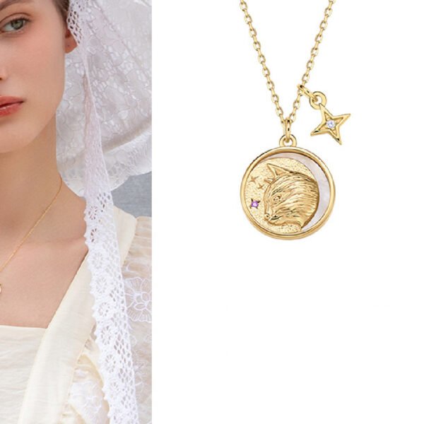 Silver And Gold Coin Clavicle Chain Accessories 6