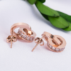 New Earrings Rose Gold Titanium Steel Earrings Women Double Ring Popular Earrings Earrings 10