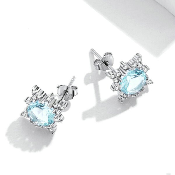 Platinum-plated Shining Star Earrings Female Niche Design High Sense Earrings 5