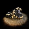 Ring Female Black Gold Purple Zircon Rings 11 Ring Female Black Gold Purple Zircon Rings 11