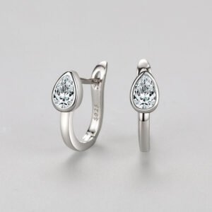 S925 Sterling Silver Temperament Micro Diamond Earrings Earrings