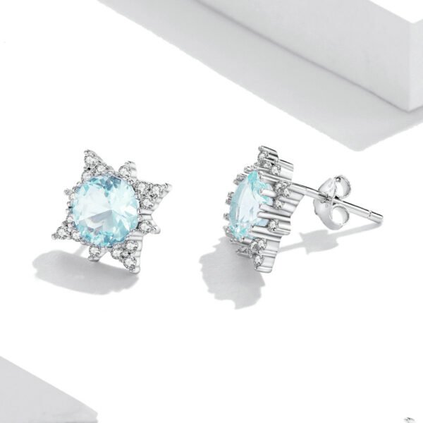 Platinum-plated Shining Star Earrings Female Niche Design High Sense Earrings 4