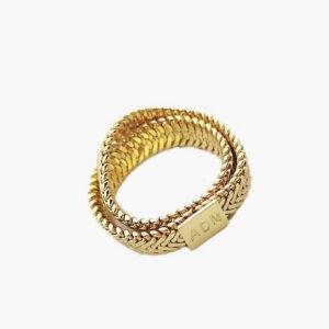 Stacked brass snake bone chain ring Rings