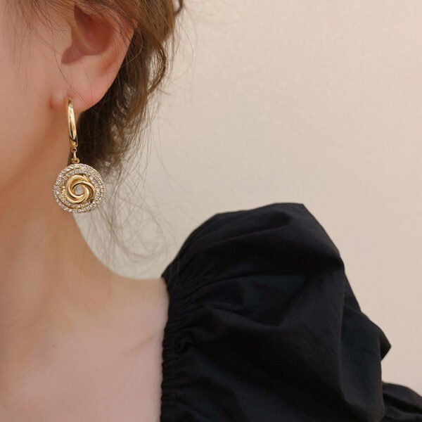 Diamond Circle 925 Silver Needle Earrings Earrings 8