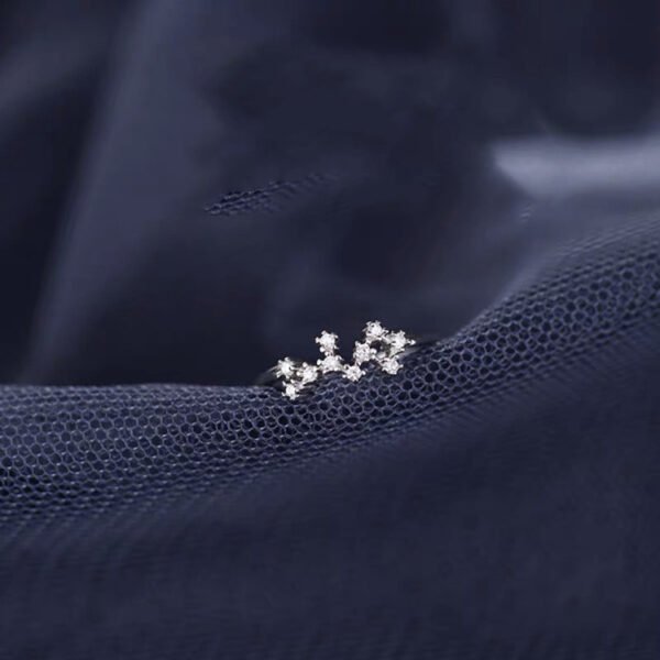 S925 Silver Twelve Constellation Ring Female Rings 11