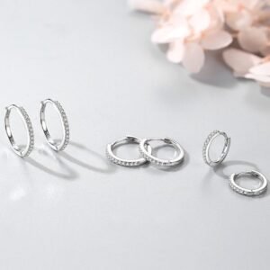 S925 Sterling Silver Micro Diamond Earrings Earrings