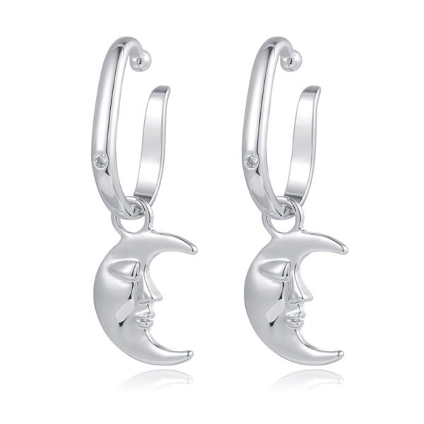 Temperament Niche Design Female Personality Earrings Earrings 6
