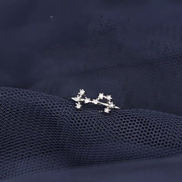 S925 Silver Twelve Constellation Ring Female Rings 10