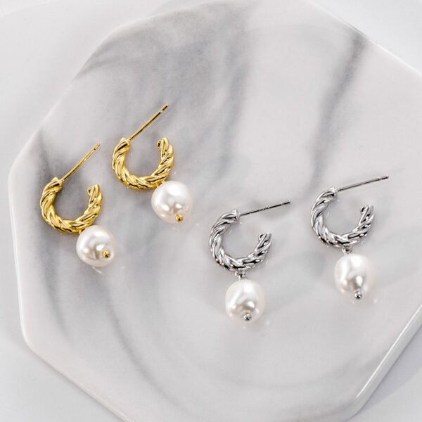 Small Design Sense Of High Quality French Earrings Earrings 8