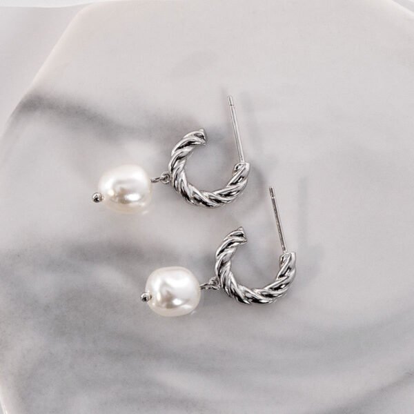 Small Design Sense Of High Quality French Earrings Earrings 3