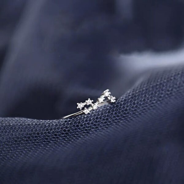 S925 Silver Twelve Constellation Ring Female Rings 7