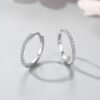 S925 Sterling Silver Micro Diamond Earrings Earrings 12
