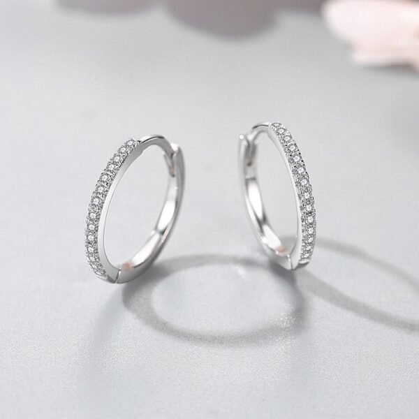 S925 Sterling Silver Micro Diamond Earrings Earrings 6