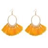 European And American New Su Earrings Women’s Fan-shaped Color Earrings 14