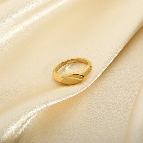 Women’s Light Luxury Trendy 18K Stainless Steel Gold-plated Ring Rings 3
