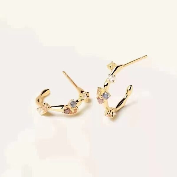 Women’s Gold-plated S925 Stud Earrings Earrings 9