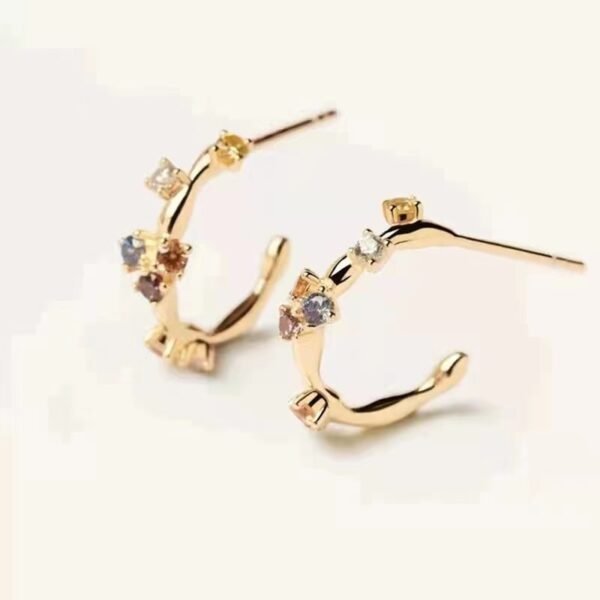 Women’s Gold-plated S925 Stud Earrings Earrings 4