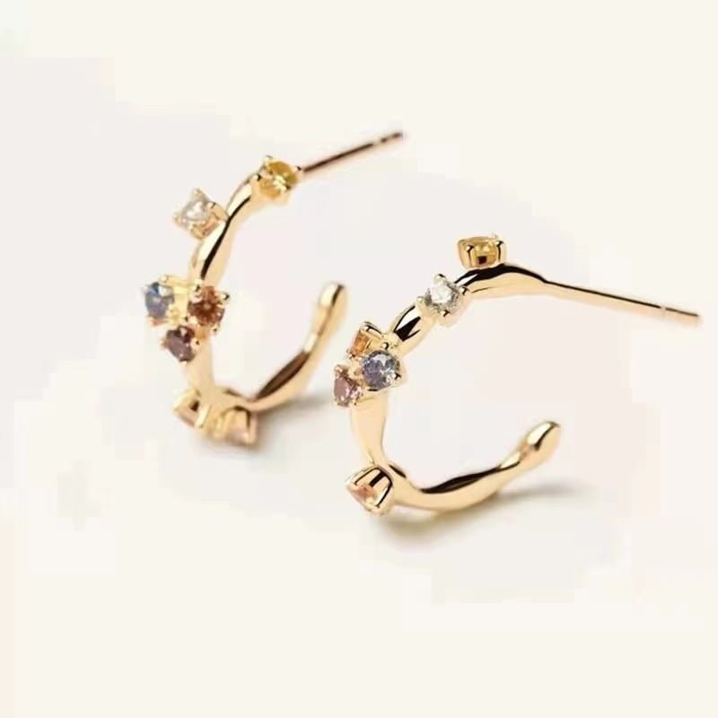 Women’s Gold-plated S925 Stud Earrings Earrings 2