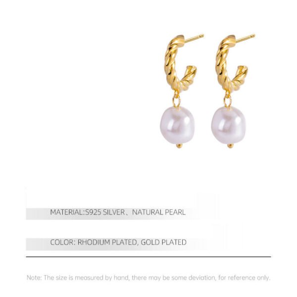 Small Design Sense Of High Quality French Earrings Earrings 4