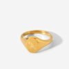 Gold Plated Water Resistant Stainless Steel Constellation Signet Ring Rings 18 Gold Plated Water Resistant Stainless Steel Constellation Signet Ring Rings 18
