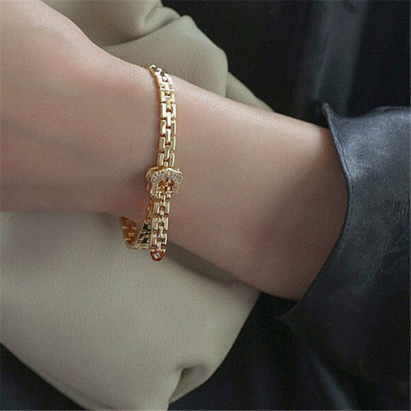 Copper Gold-plated Micro-inlaid Zircon Bracelet Belt Buckle Chain Bracelets 4