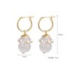 European And American High-end Super Fairy Earrings Earrings 12