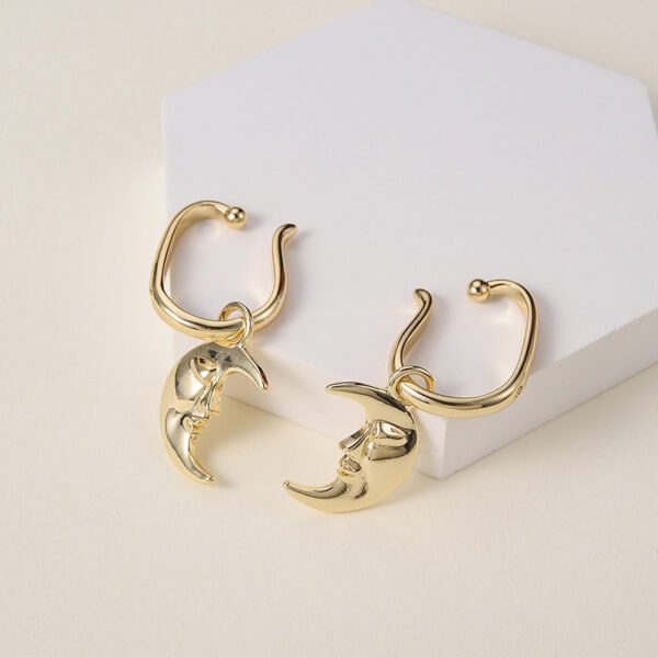 Temperament Niche Design Female Personality Earrings Earrings 8