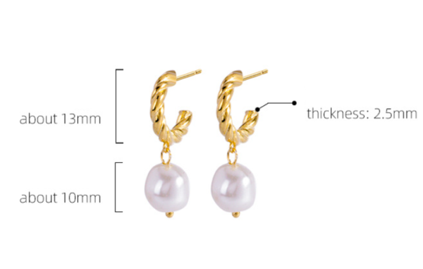 Small Design Sense Of High Quality French Earrings Earrings 9
