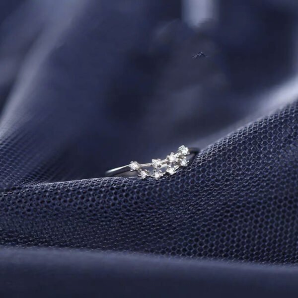 S925 Silver Twelve Constellation Ring Female Rings 12