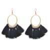 European And American New Su Earrings Women’s Fan-shaped Color Earrings 22