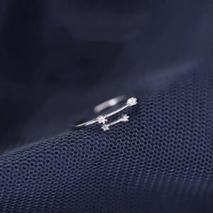 S925 Silver Twelve Constellation Ring Female Rings