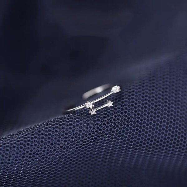 S925 Silver Twelve Constellation Ring Female Rings 3