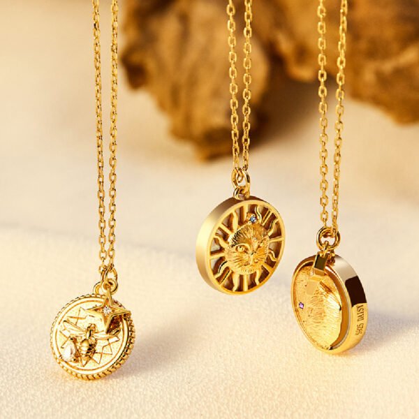 Silver And Gold Coin Clavicle Chain Accessories 3