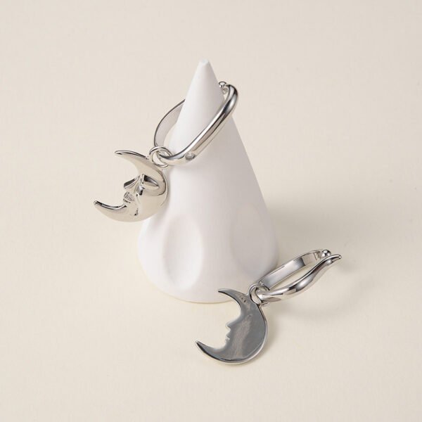 Temperament Niche Design Female Personality Earrings Earrings 7