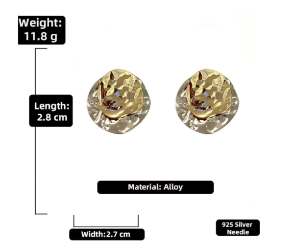 European And American Ins High-end Cold Wind Temperament Earrings Earrings 8