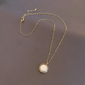 Frigid Wind Clavicle Chain High-end Simple Temperament Necklace Necklaces