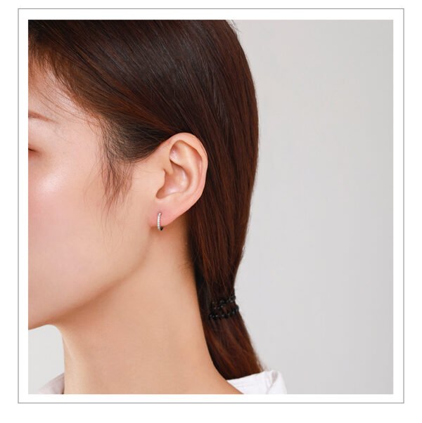 S925 Sterling Silver Micro Diamond Earrings Earrings 5