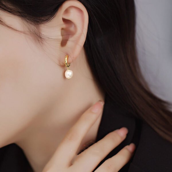 Small Design Sense Of High Quality French Earrings Earrings 6