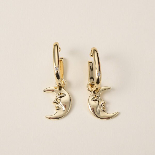 Temperament Niche Design Female Personality Earrings Earrings 9