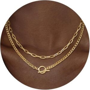 Layered Double Chain Necklace Accessories