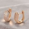 Crystal Zircon Stud Earrings Accessories 9