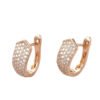 Crystal Zircon Stud Earrings Accessories 11